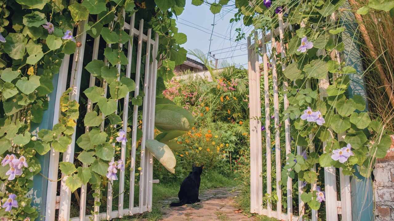 Photo of Outdoor in Nimman