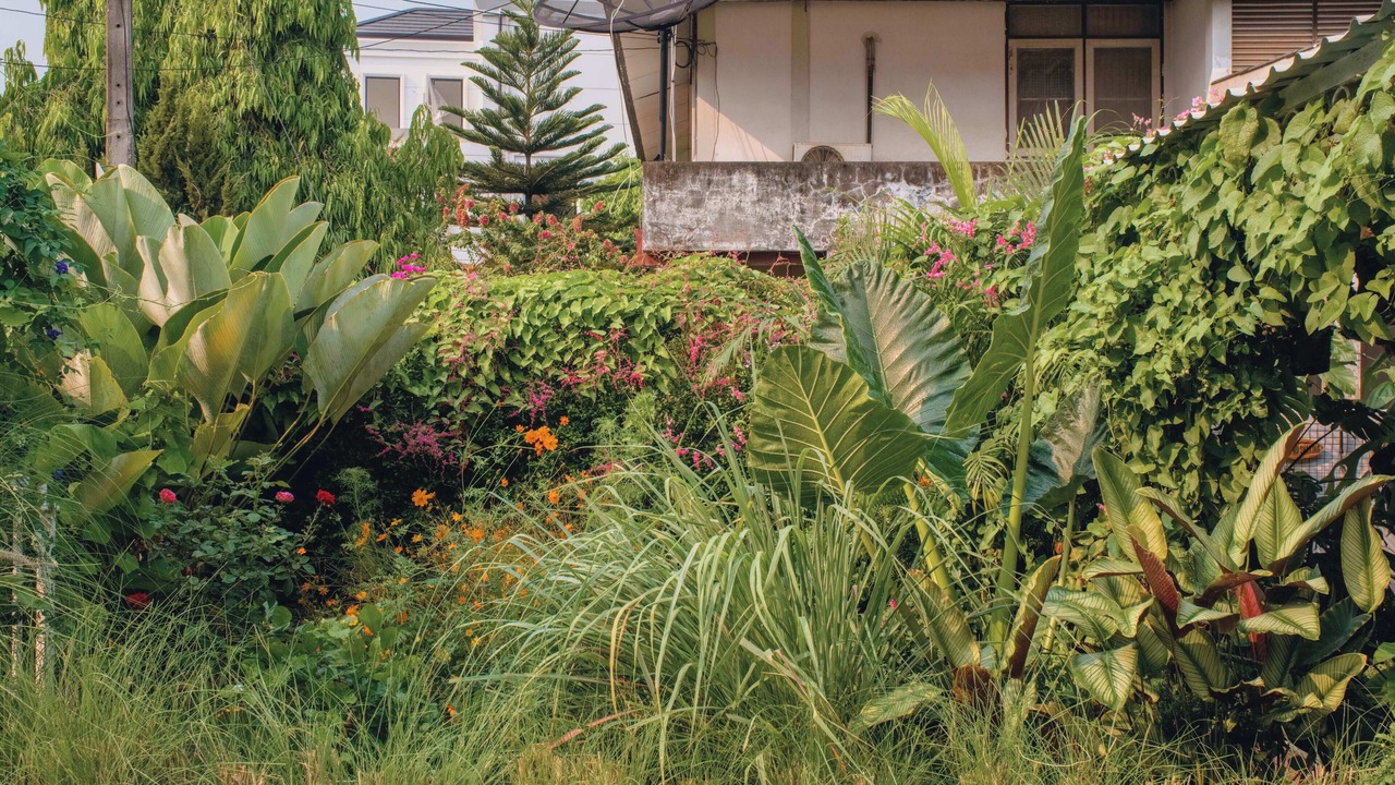 Photo of Outdoor in Nimman
