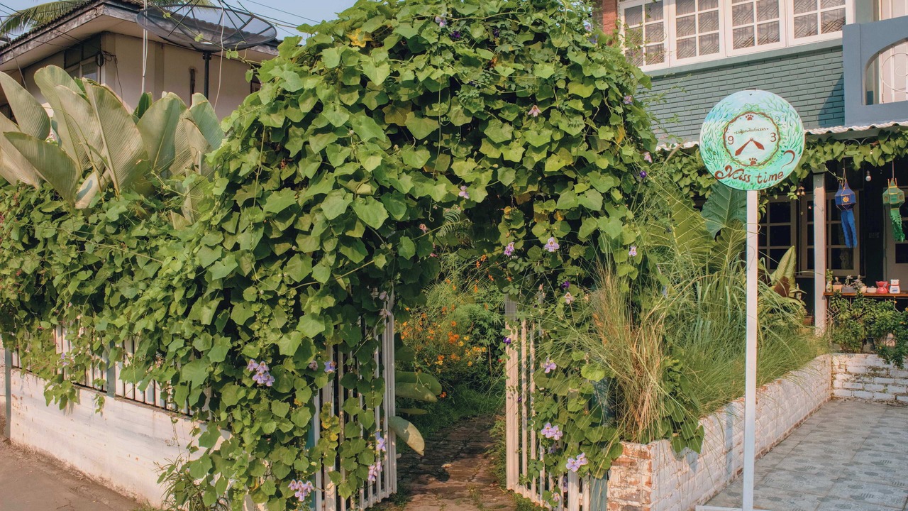 Photo of Outdoor in Nimman
