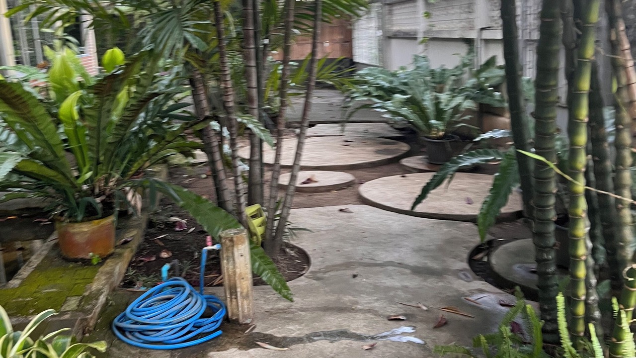 Photo of Outdoor in Chang Phueak