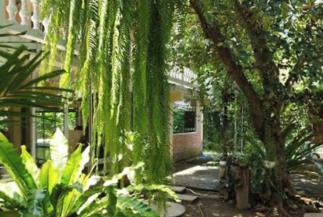 Photo of Outdoor in Chang Phueak