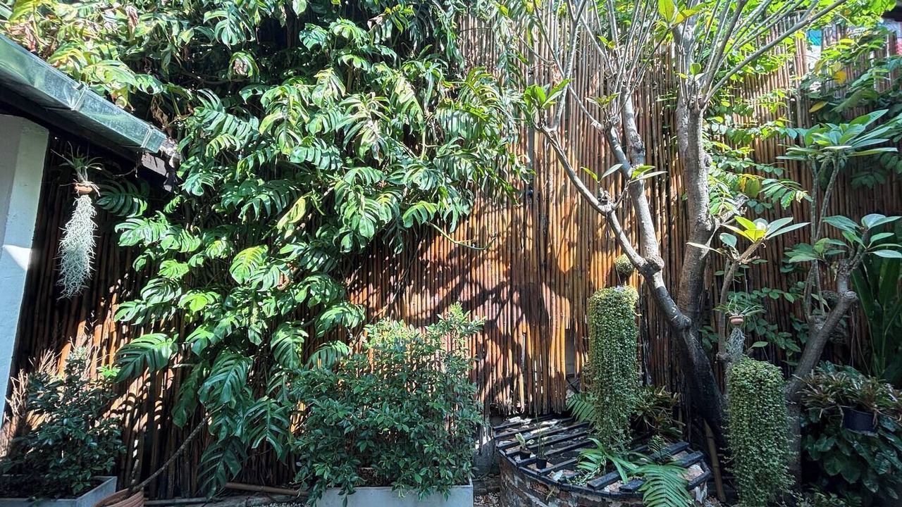 Photo of Outdoor in Old City