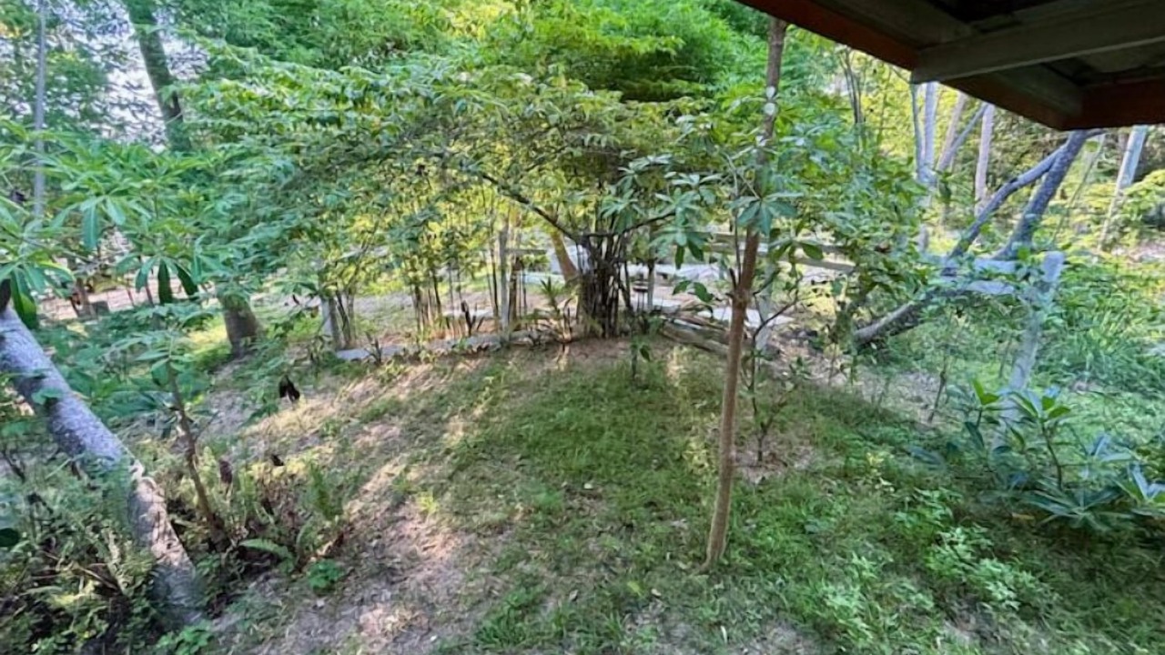 Photo of Outdoor in Wok Tum