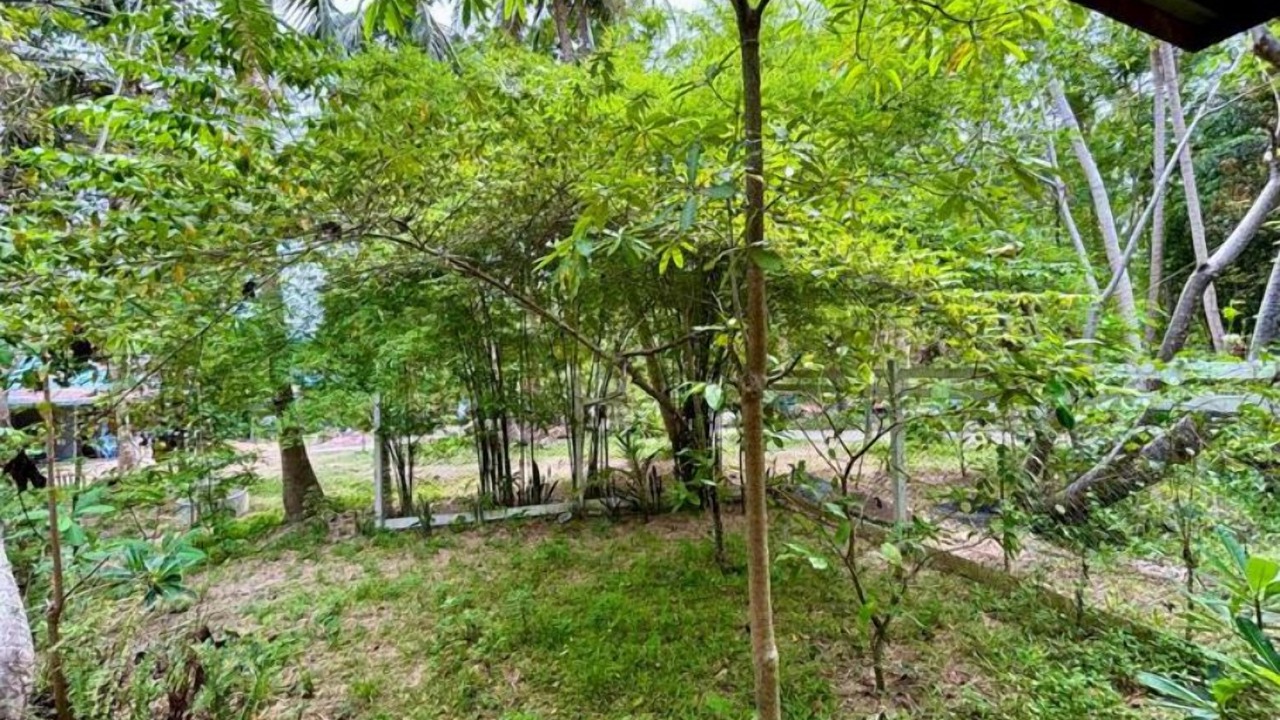 Photo of Outdoor in Wok Tum