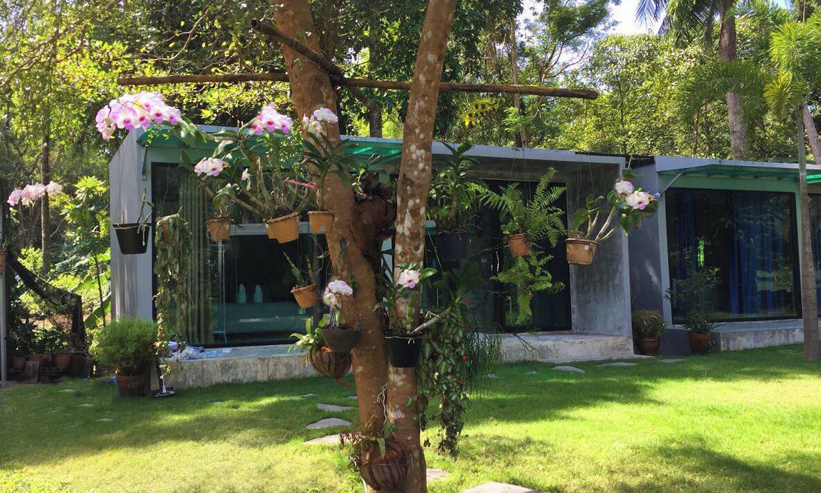 Photo of Outdoor in Bang Bao Bay