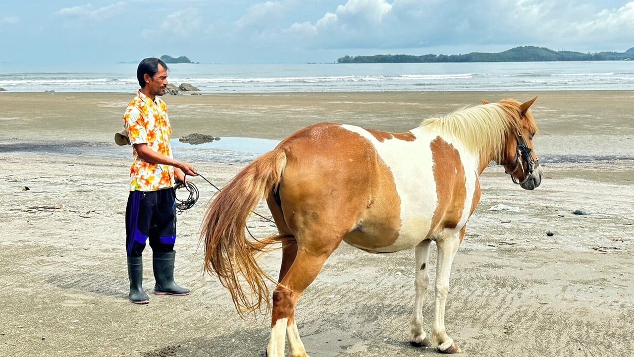 Photo of Others in Ko Klang