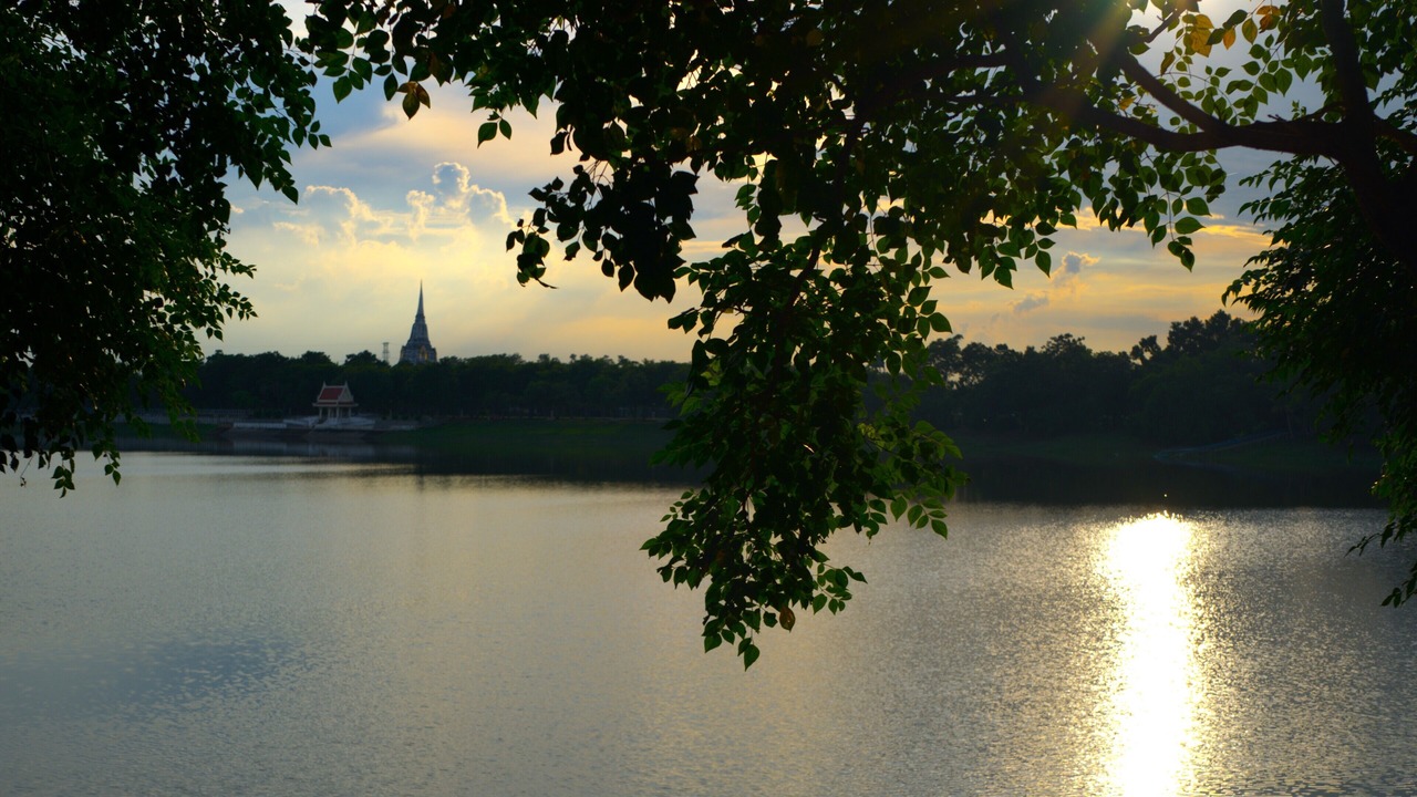 Photo of Others in Lumphli