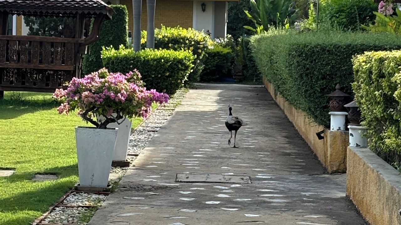 Photo of Outdoor in Pranburi