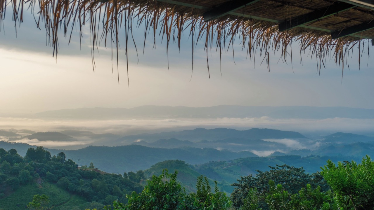 Photo of Others in Chiang Rai