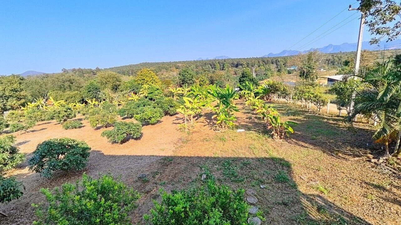 Photo of Outdoor in Mueang Ngai