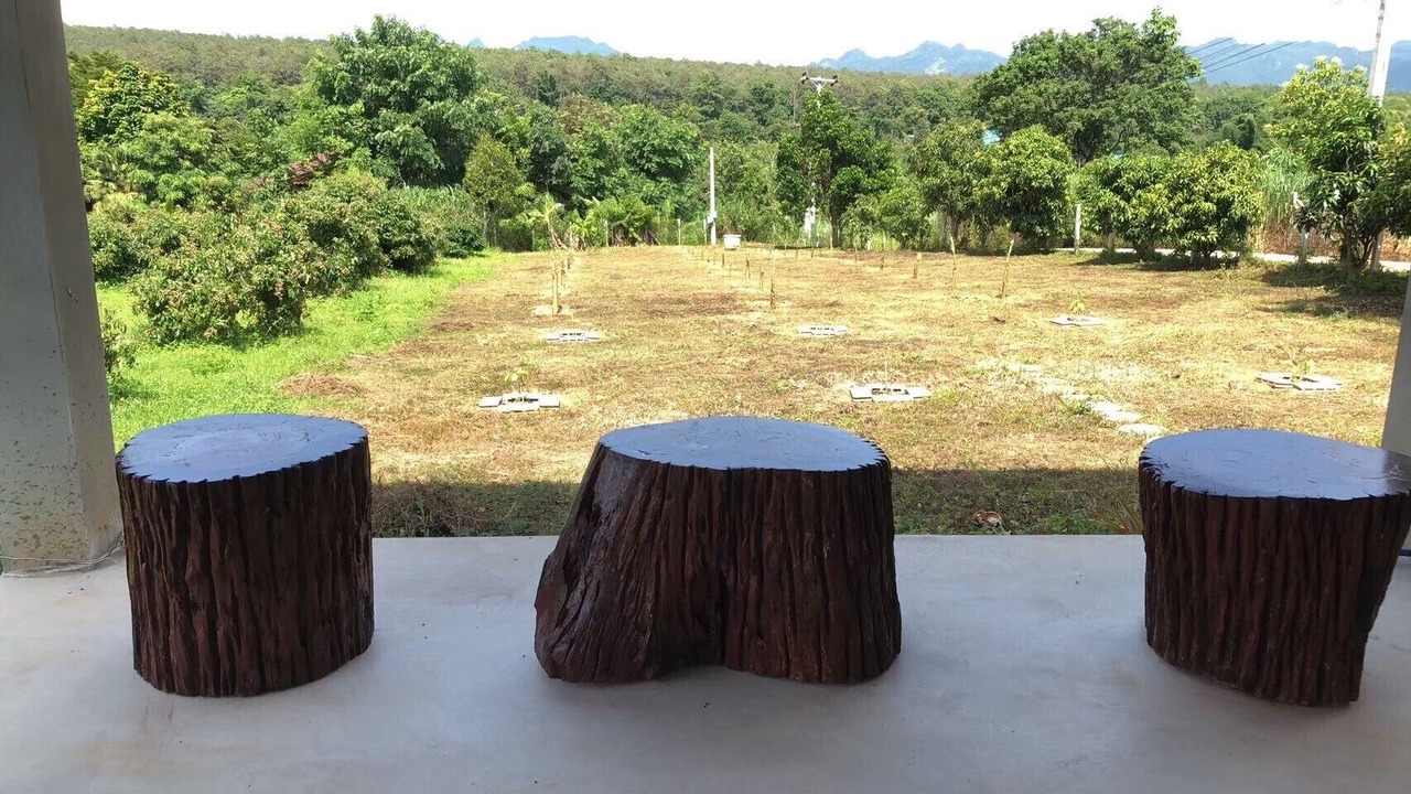 Photo of Outdoor in Mueang Ngai