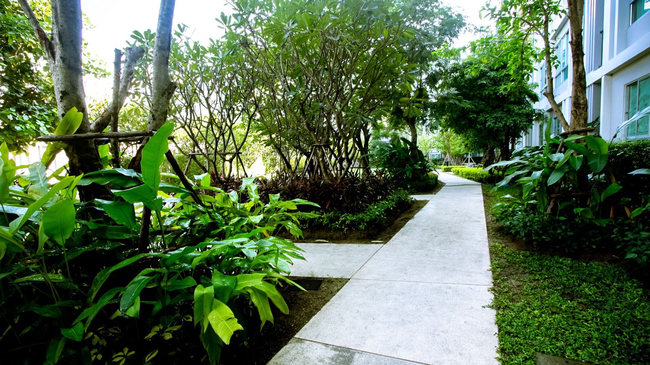Photo of Outdoor in Chiang Mai