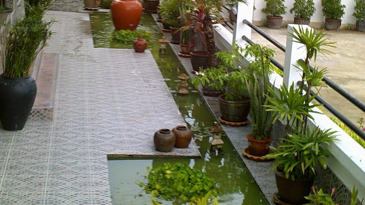 Photo of Others in Bo Fai