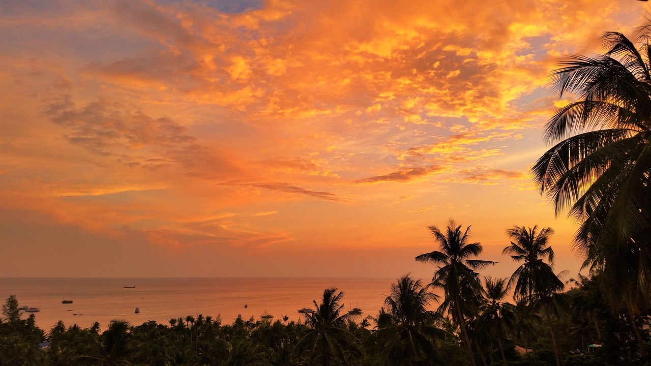Photo of Others in Koh Tao