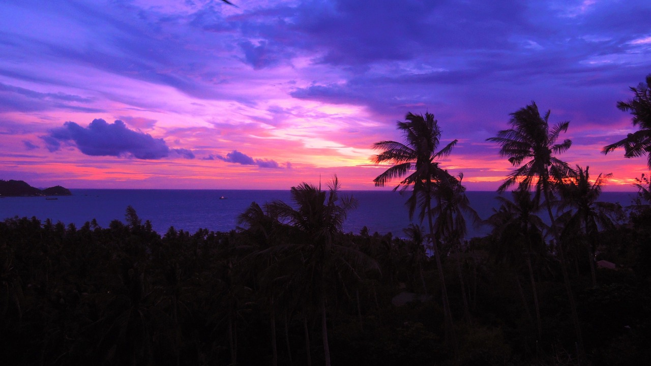 Photo of Others in Koh Tao