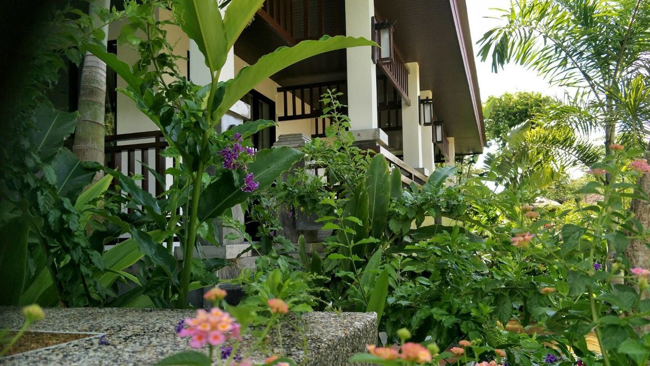 Photo of Livingroom in Ko Lanta