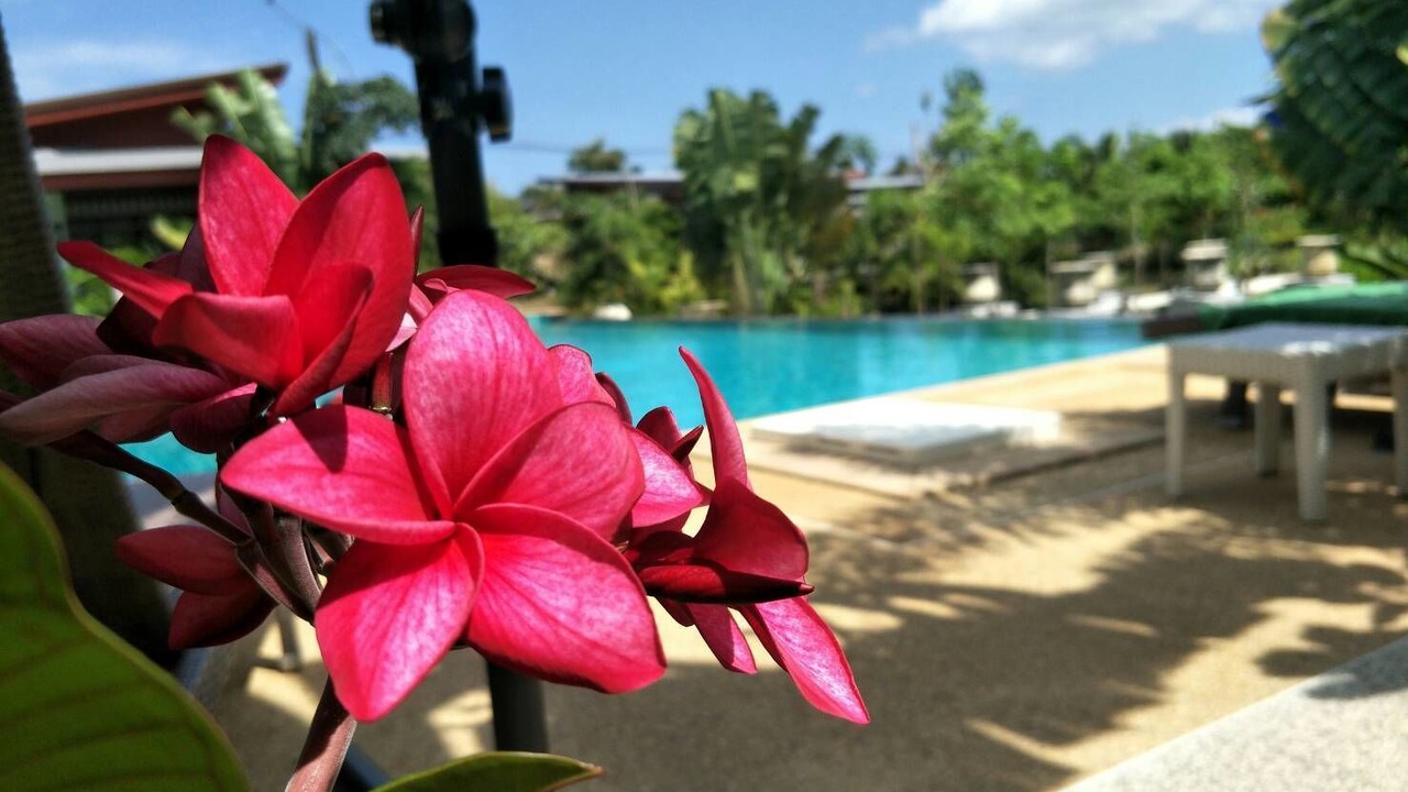 Photo of Bedroom in Ko Lanta
