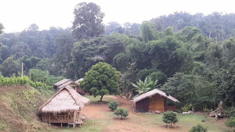 Photo of Others in Chiang Dao