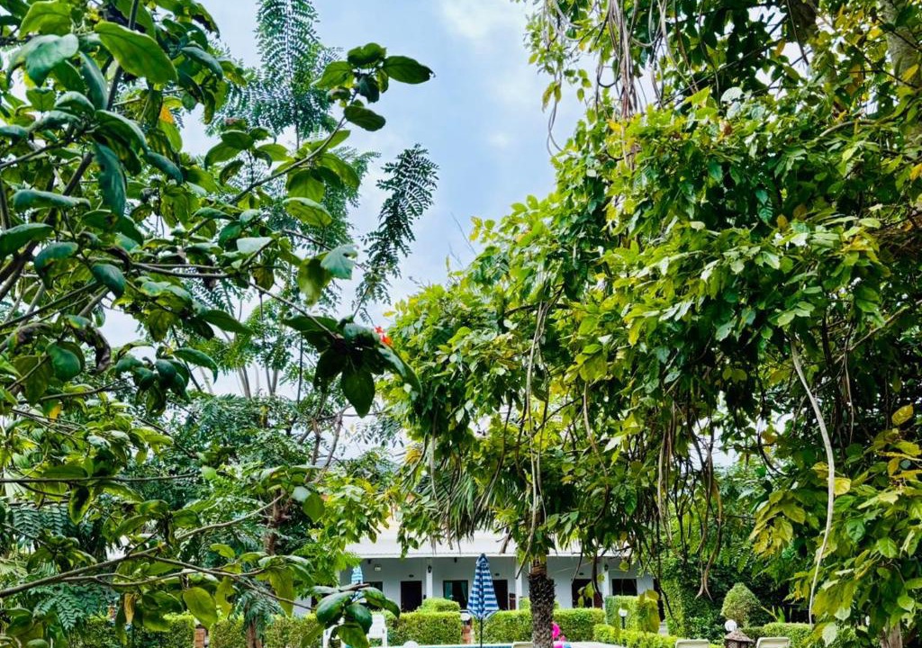 Photo of Others in Hin Lek Fai