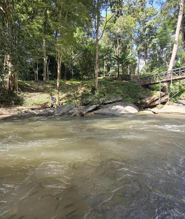 Photo of Others in Chom Thong