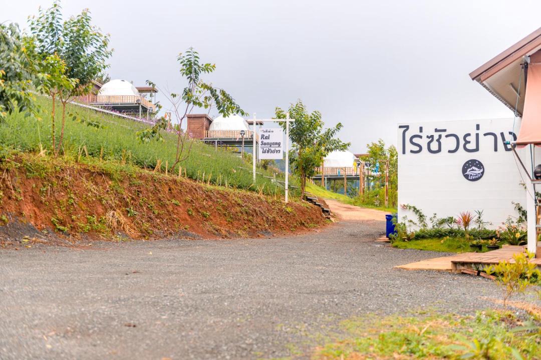 Photo of Others in Mae Rim