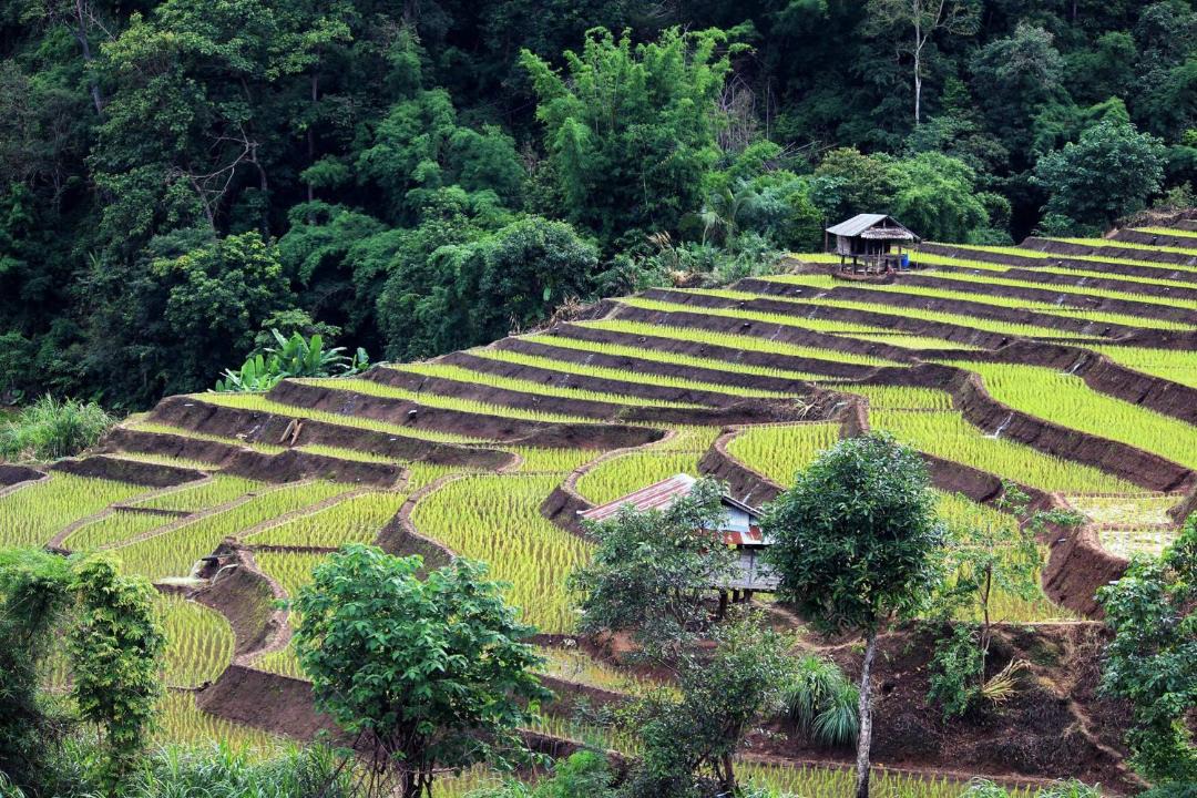 Photo of Others in Mae Chaem
