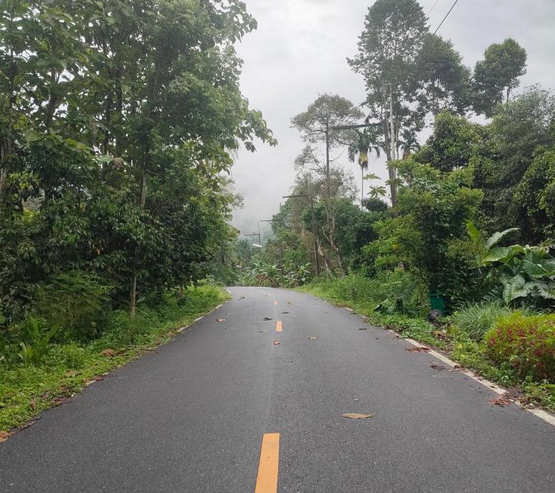 Photo of Others in Phrom Khiri