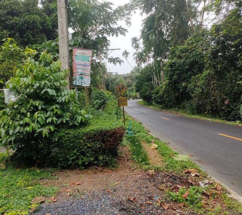 Photo of Others in Phrom Khiri