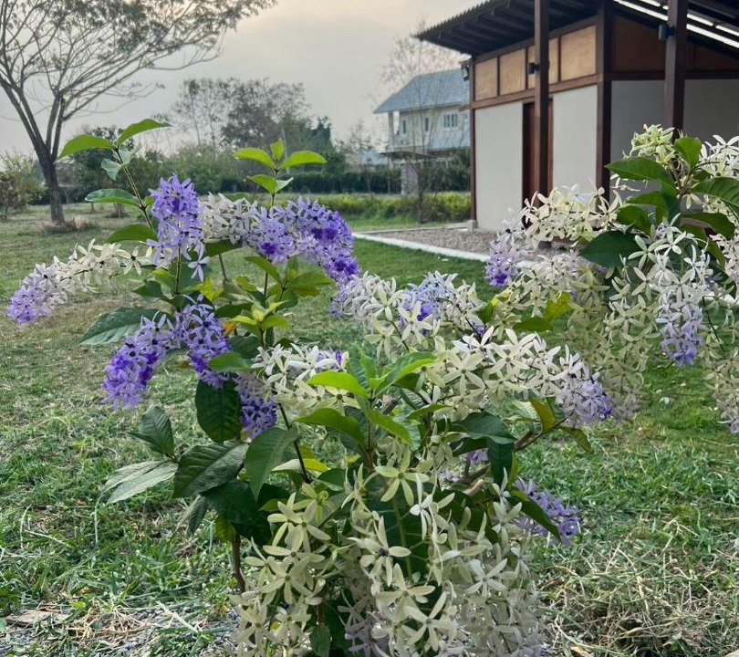 Photo of Outdoor in Mae Rim