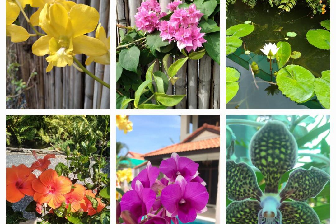 Photo of Others in Ko Lanta