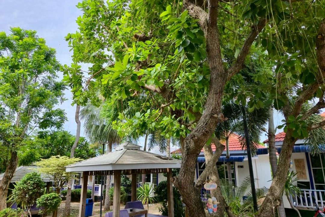 Photo of Outdoor in Koh Lan