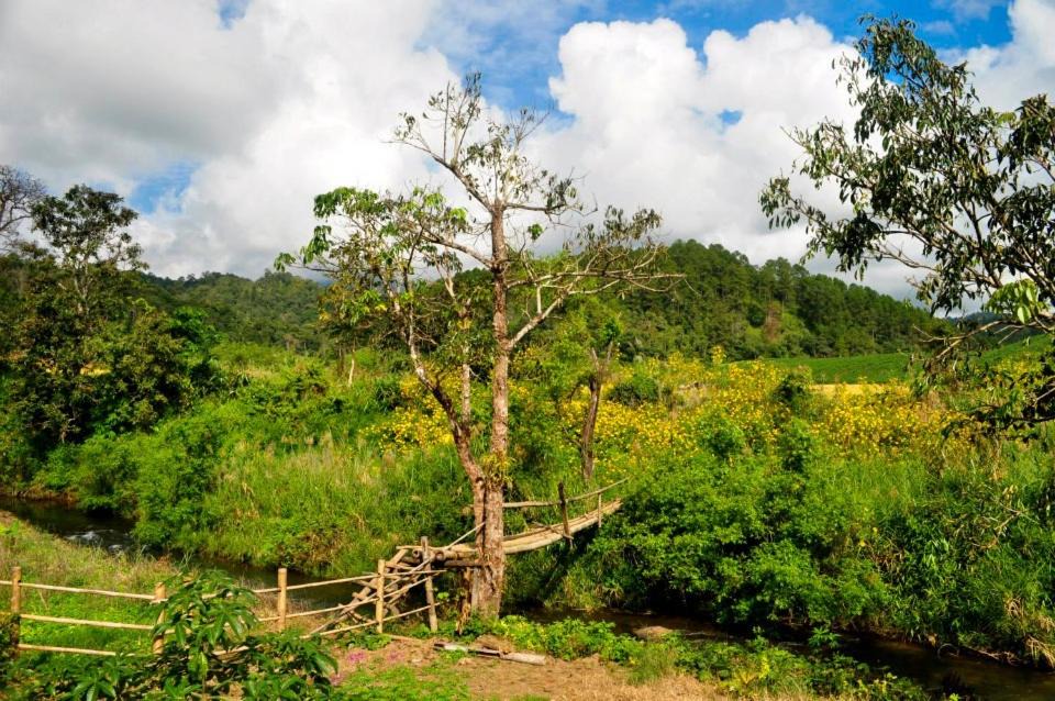 Photo of Others in Huai Makhuea Som