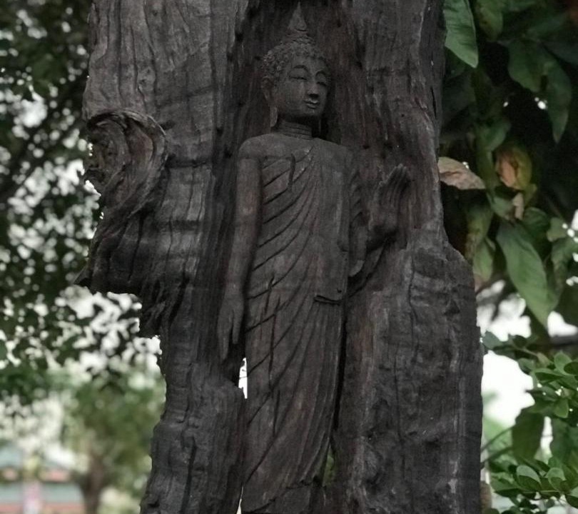 Photo of Others in Chiang Rak Yai