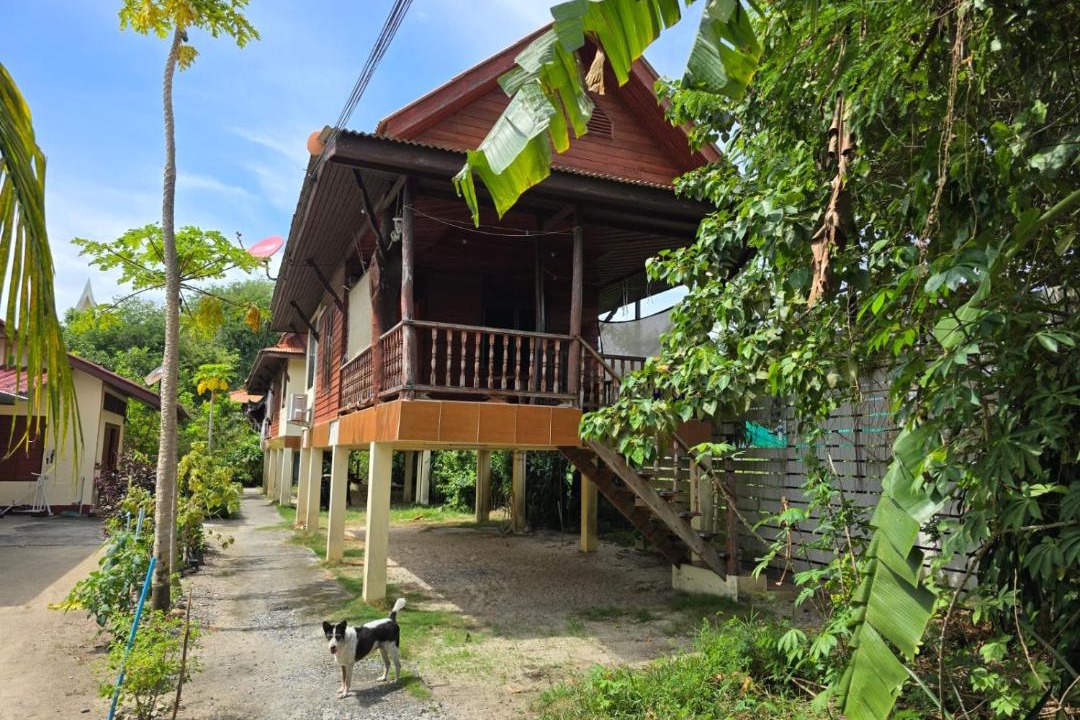 Photo of Others in Thong Sala
