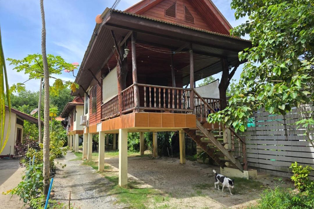 Photo of Others in Thong Sala