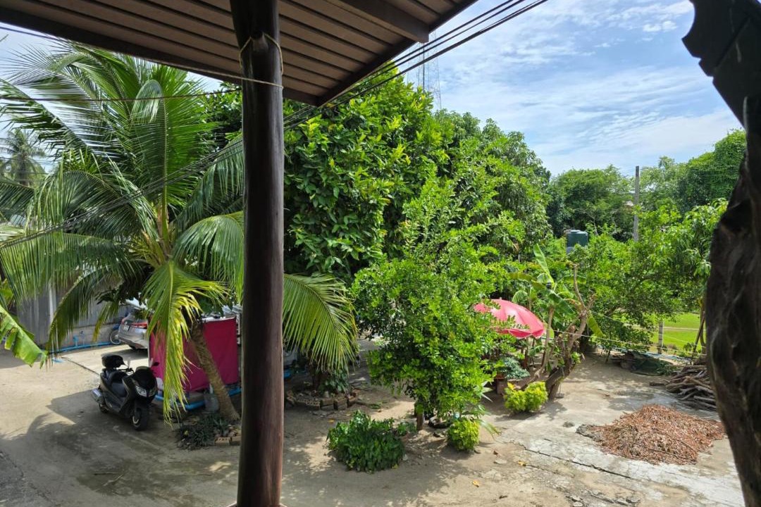 Photo of Others in Thong Sala