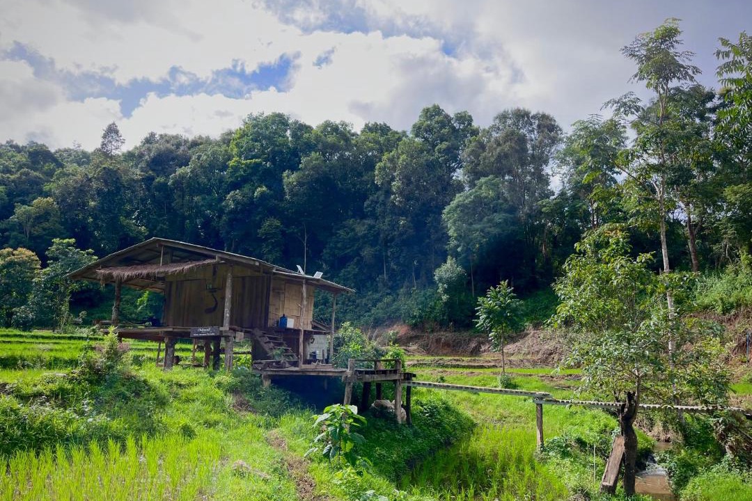 Photo of Others in Samoeng