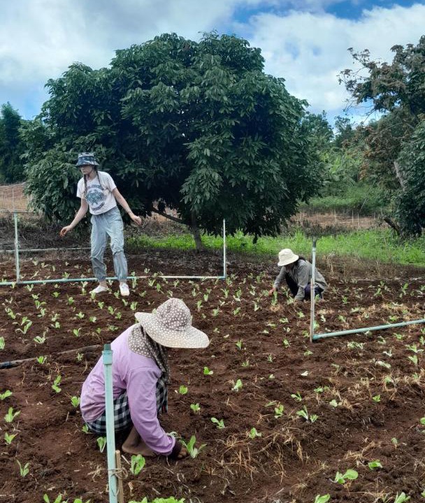 Photo of Others in Samoeng