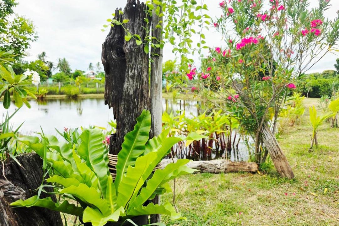 Photo of Outdoor in Buriram
