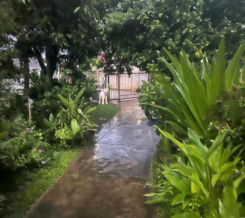 Photo of Outdoor in Hai Ya