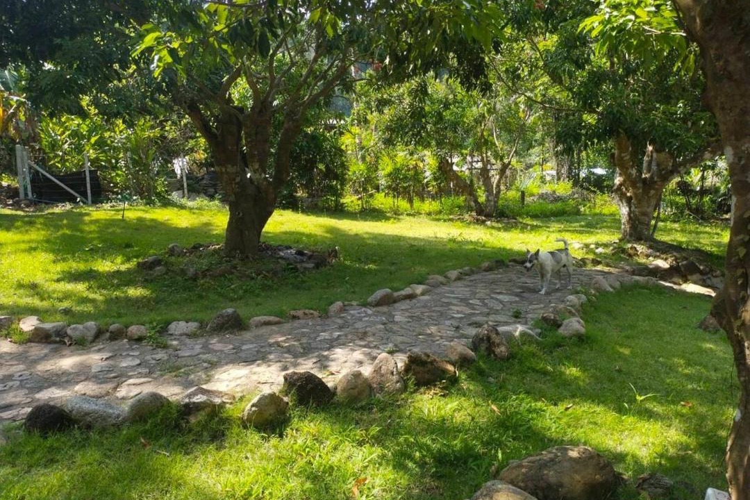 Photo of Outdoor in Mae On