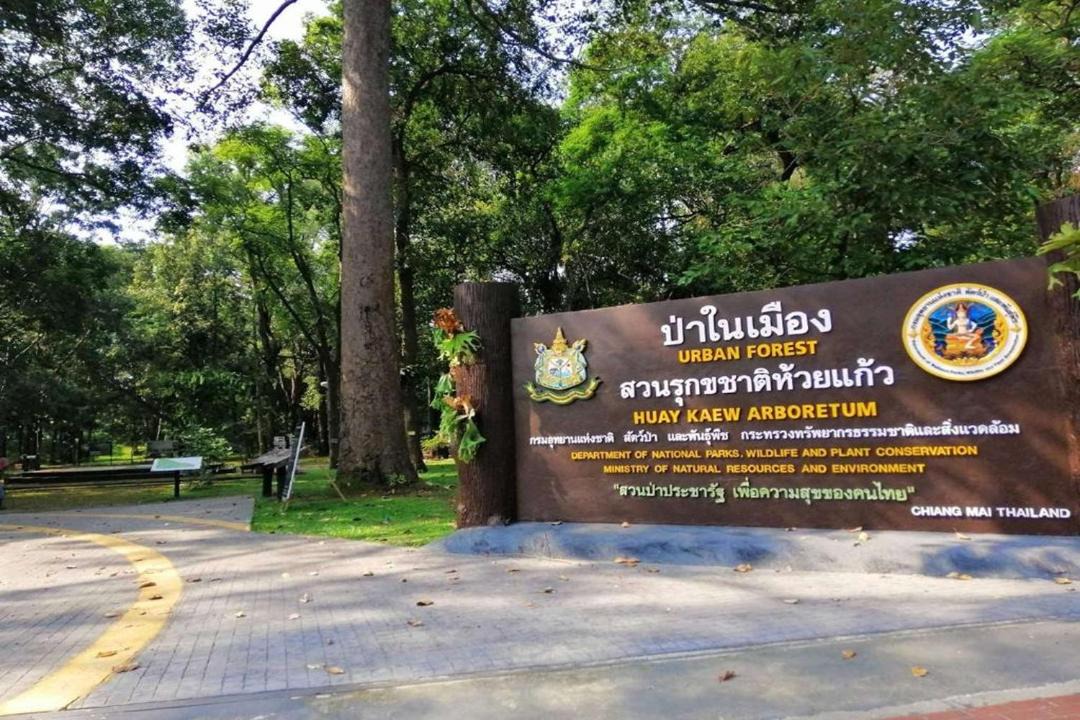 Photo of Others in Chang Phueak