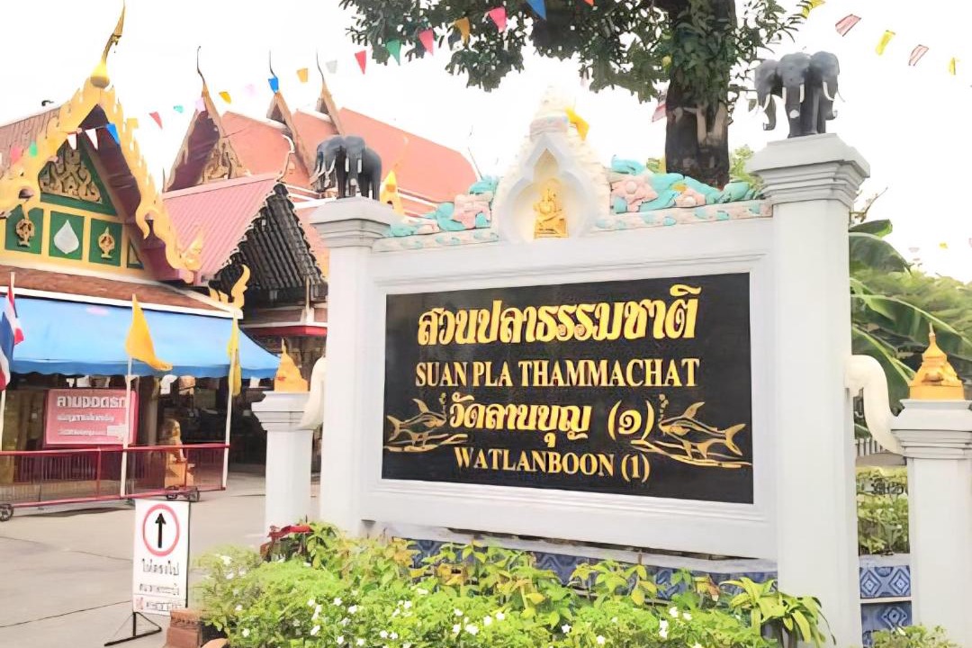 Photo of Others in Lat Krabang