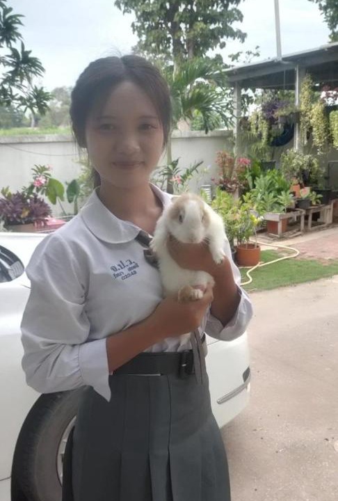 Photo of Others in Ban Phai