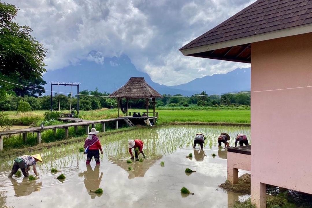 Photo of Others in Chiang Dao