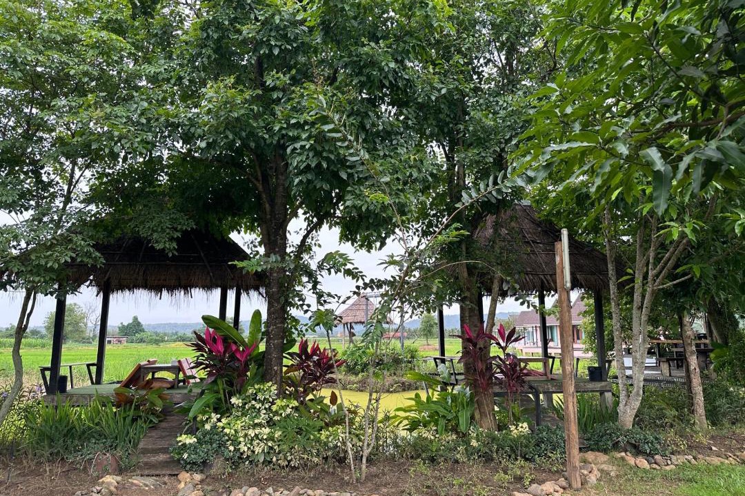 Photo of Others in Chiang Dao