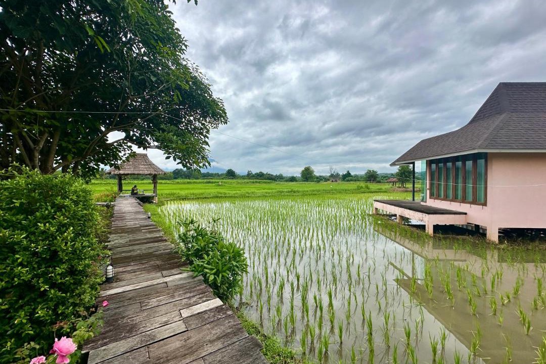 Photo of Others in Chiang Dao