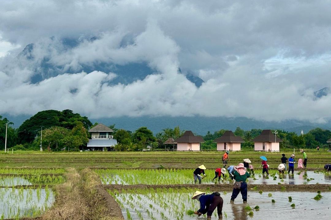 Photo of Others in Chiang Dao