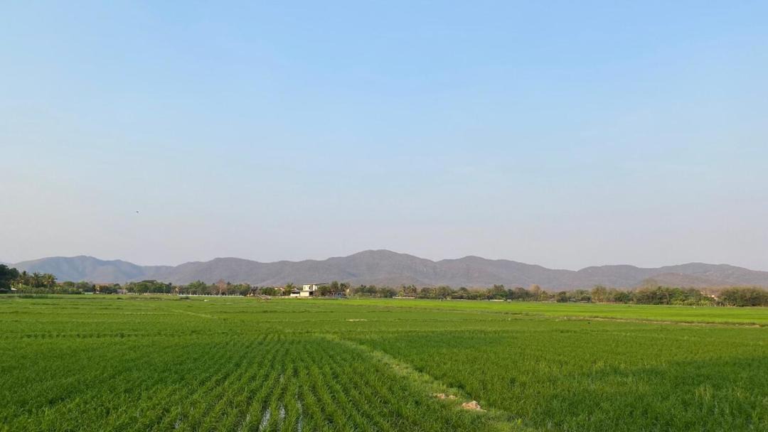 Photo of Others in Choeng Doi