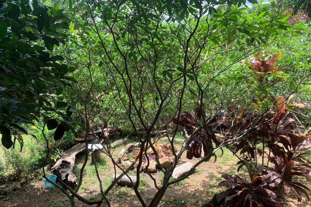 Photo of Others in Khong Koi Beach